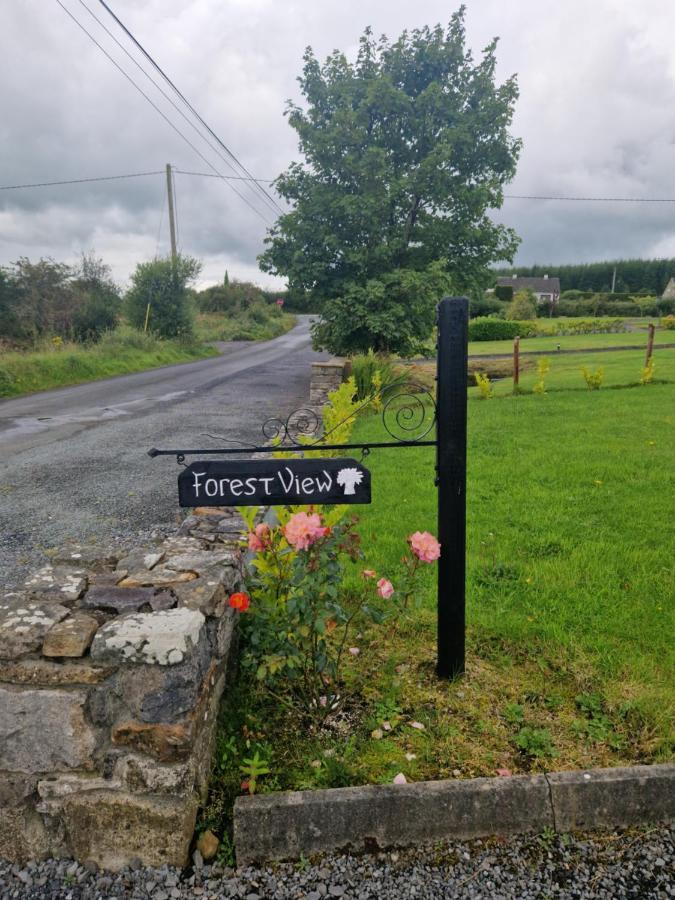 Forest View Dunmore Galway H54P897 Bed and Breakfast Εξωτερικό φωτογραφία